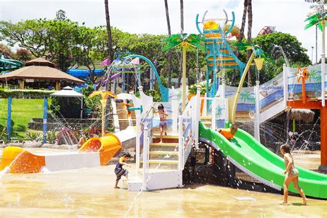 wet 'n' wild hawaii photos|wet n wild hawaii reviews.